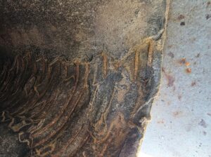 A worn through wear liner